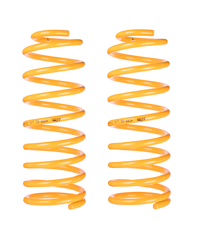 King Springs Ford Everest 2015 - Current 100-300kg Rear Coil Springs Raised - KFRR-106HD-PAIR 2
