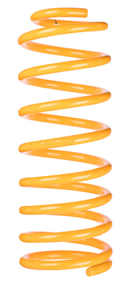 King Springs Ford Everest 2015 - Current 100-300kg Rear Coil Spring Raised - KFRR-106HD 2