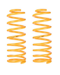 Thumbnail for King Springs Ford Everest 2015 - Current 100-300kg Rear Coil Springs Raised - KFRR-106HD-PAIR 1